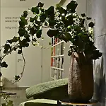 Maison Wyck 公寓 马斯特里赫特