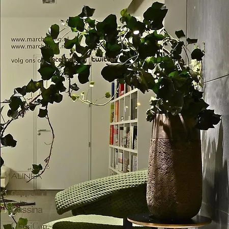 Maison Wyck Apartman Maastricht