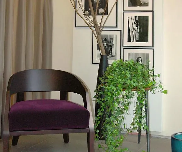 Appartement Maison Wyck